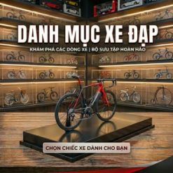 Mô Hình Xe Đạp